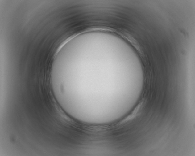 X0000114401369200910161306