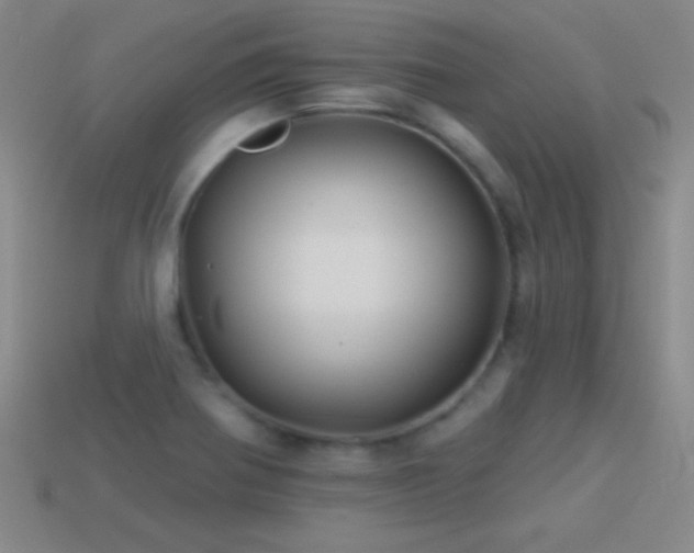 X0000114401370200910161306