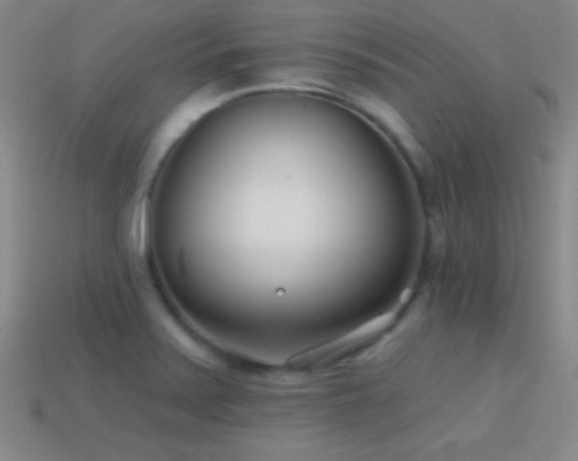 X0000114401371200910161306