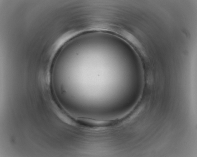 X0000114401372200910161306