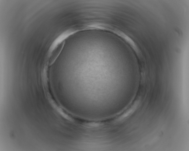 X0000114401373200910161306