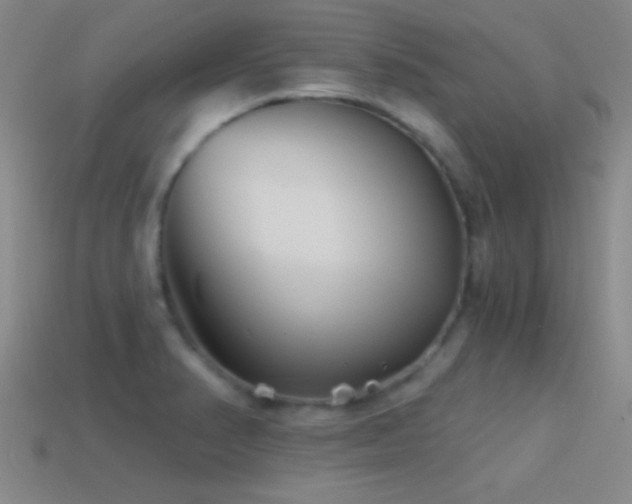 X0000114401374200910161306