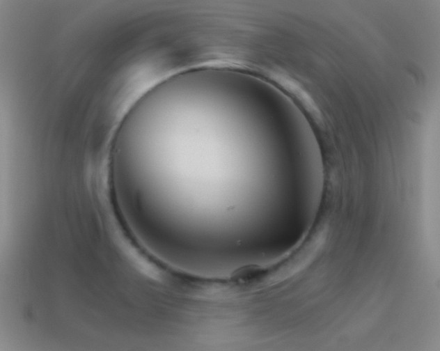 X0000114401375200910161306