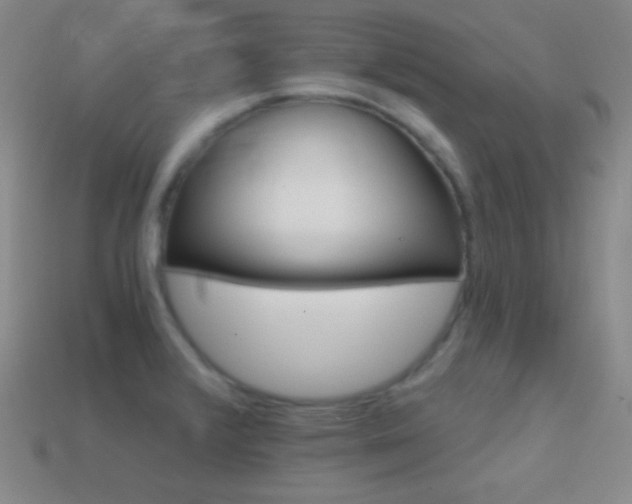 X0000114401376200910161306