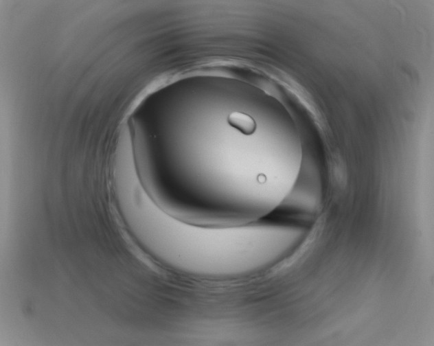 X0000114401377200910161306