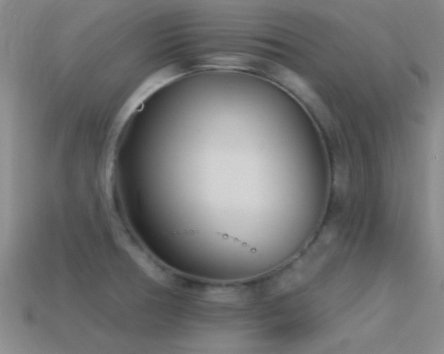 X0000114401378200910161306