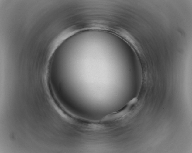 X0000114401379200910161306