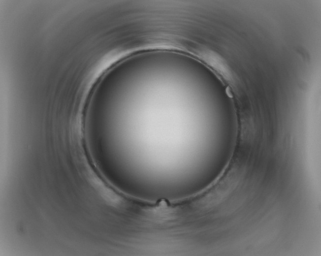 X0000114401380200910161306