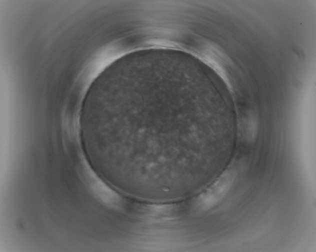 X0000114401381200910161306