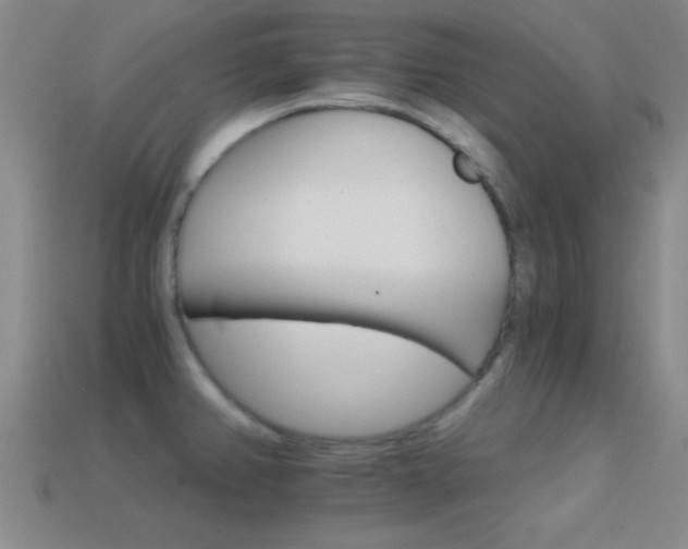 X0000114401382200910161306