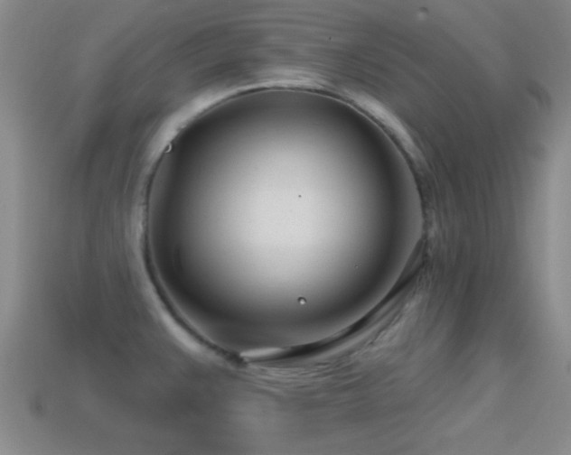 X0000114401383200910161306