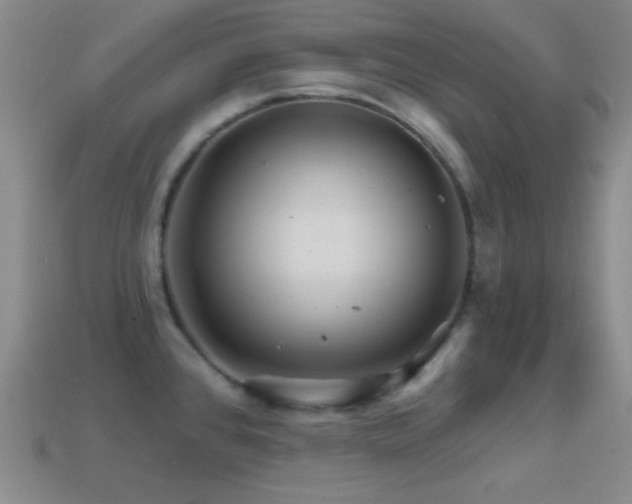 X0000114401384200910161306