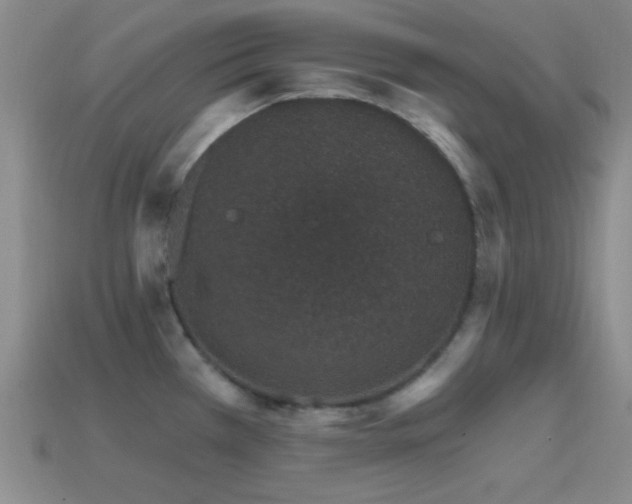 X0000114401385200910161306