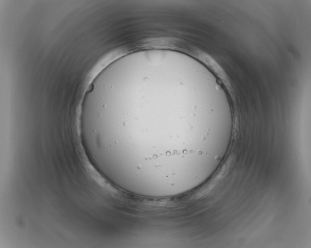 X0000114401386200910161306