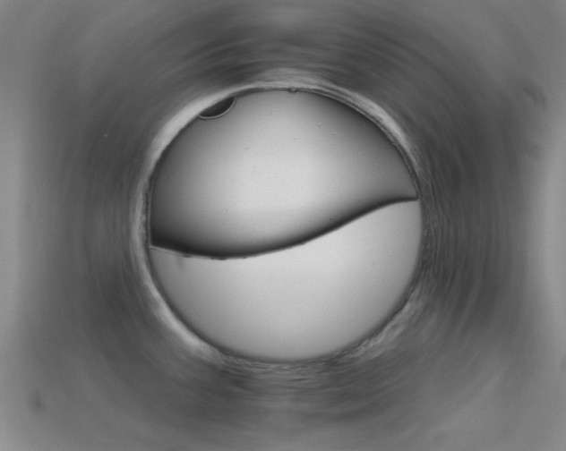 X0000114401387200910161306