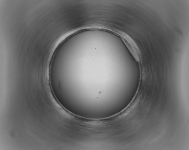 X0000114401388200910161306