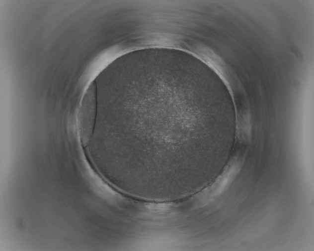 X0000114401389200910161306