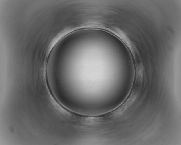 X0000114401390200910161306