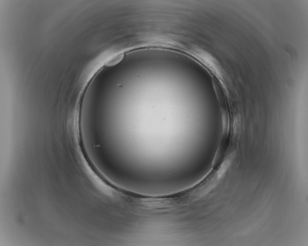 X0000114401391200910161306