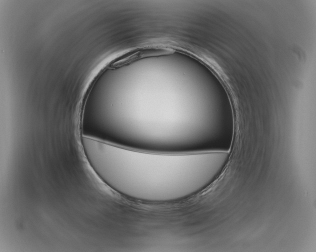 X0000114401392200910161306