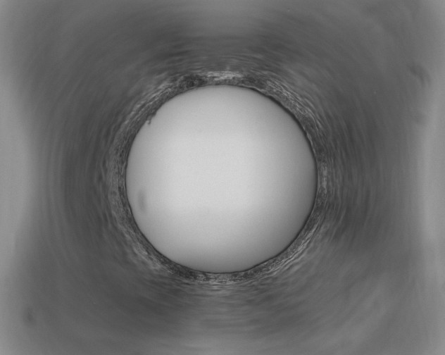 X0000114401393200910161305