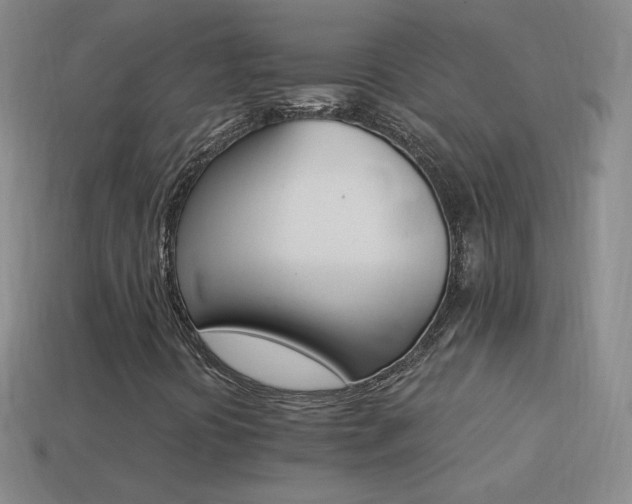 X0000114401394200910161305