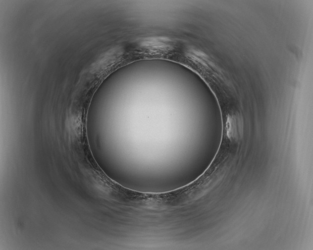 X0000114401395200910161305