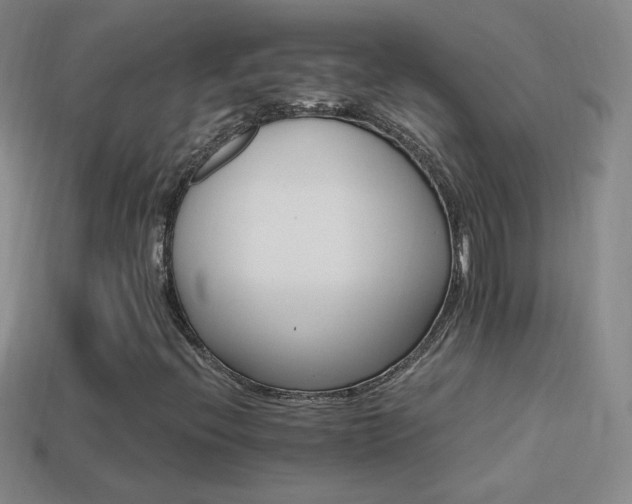 X0000114401396200910161305