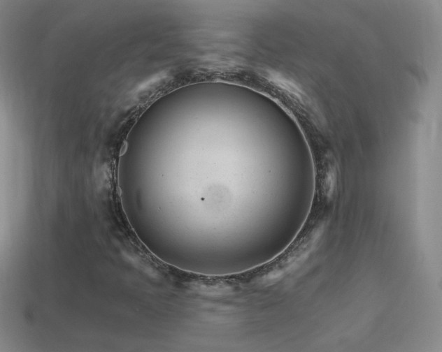 X0000114401397200910161305