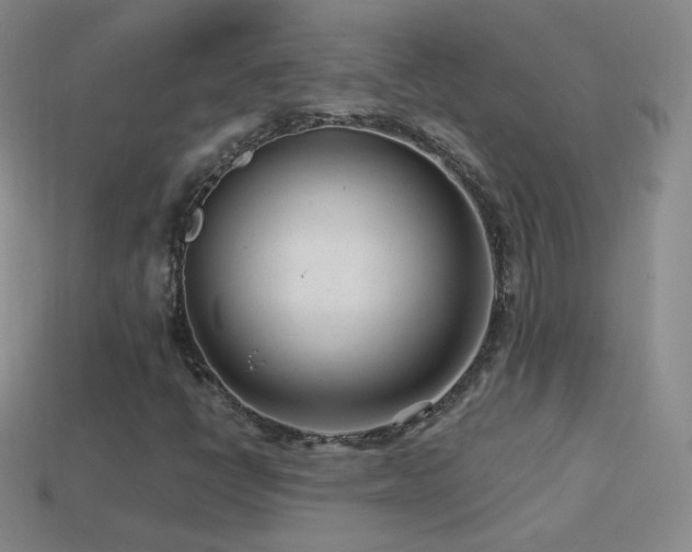 X0000114401398200910161305