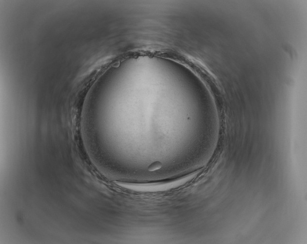 X0000114401399200910161305