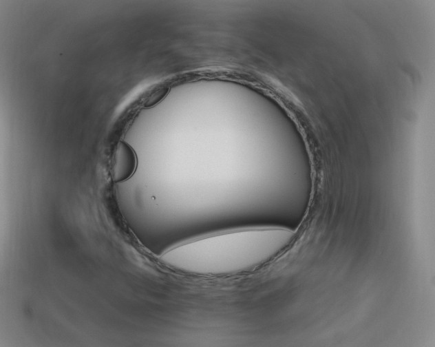 X0000114401400200910161305