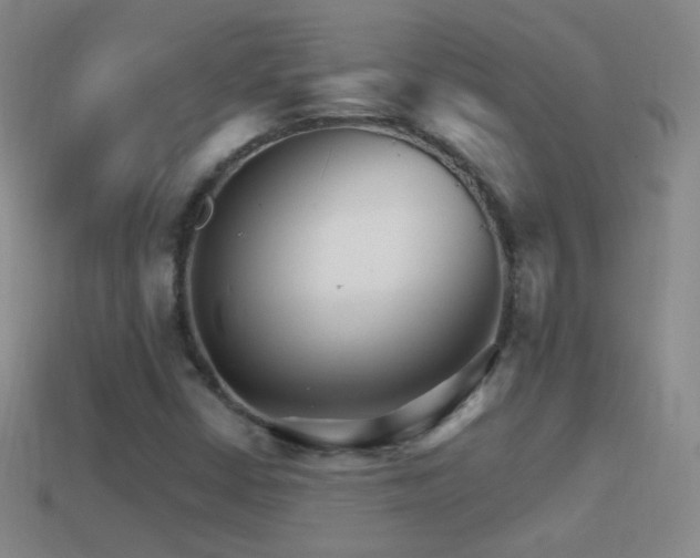 X0000114401402200910161305