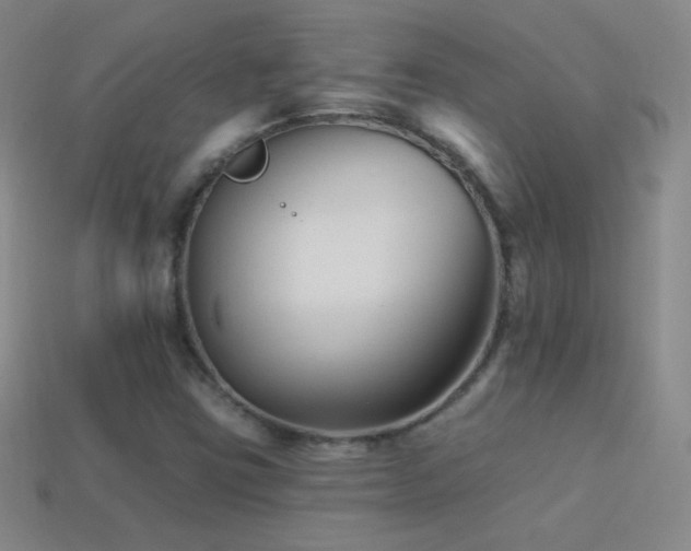 X0000114401403200910161305