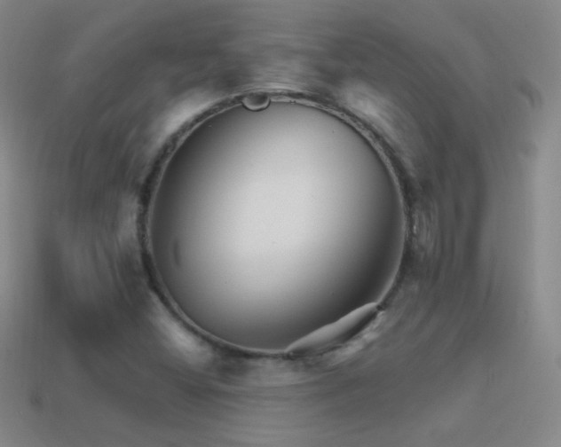 X0000114401404200910161305