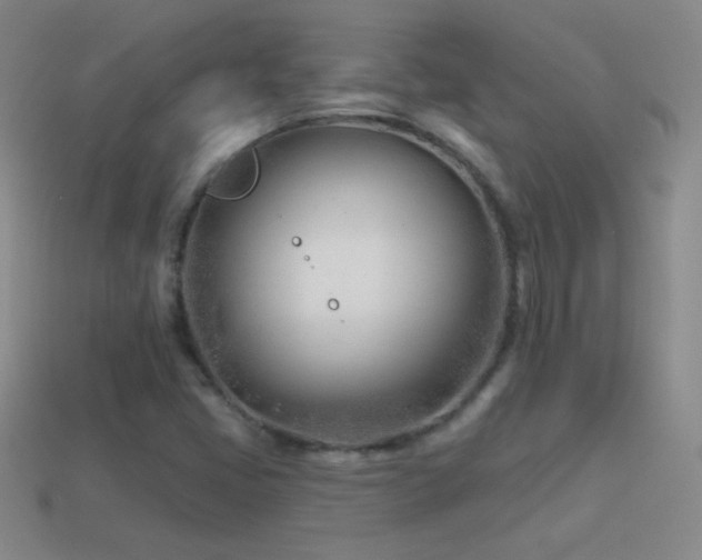 X0000114401405200910161305