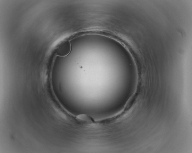 X0000114401406200910161305