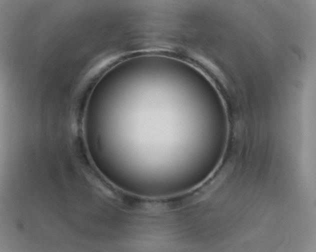 X0000114401407200910161305