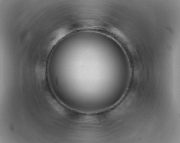 X0000114401409200910161305