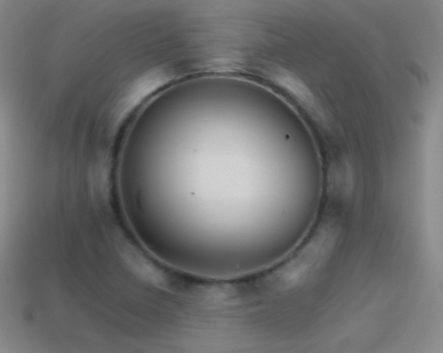 X0000114401410200910161305