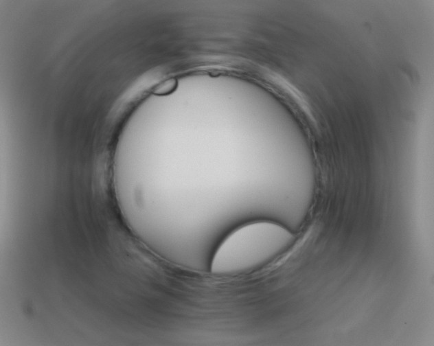 X0000114401411200910161305