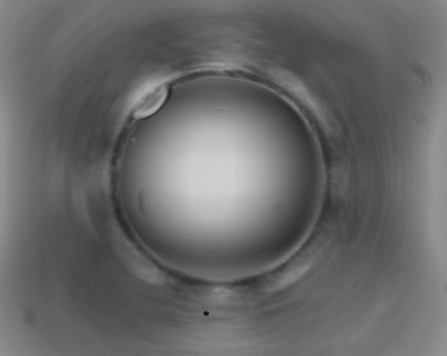 X0000114401412200910161305