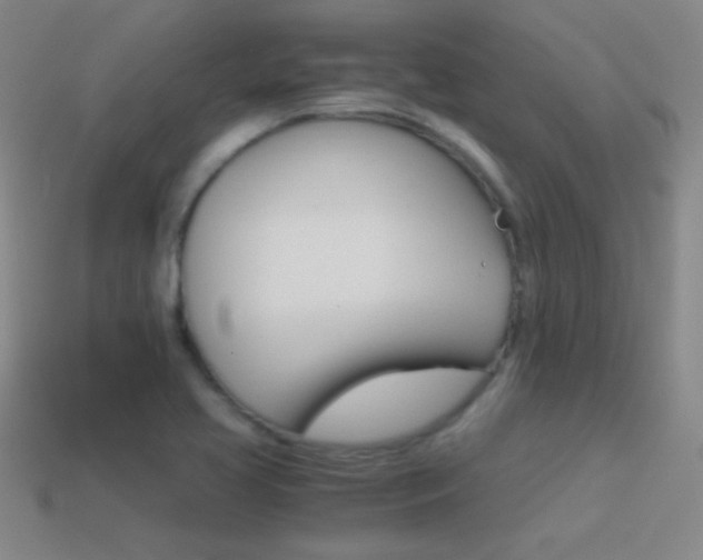 X0000114401413200910161305