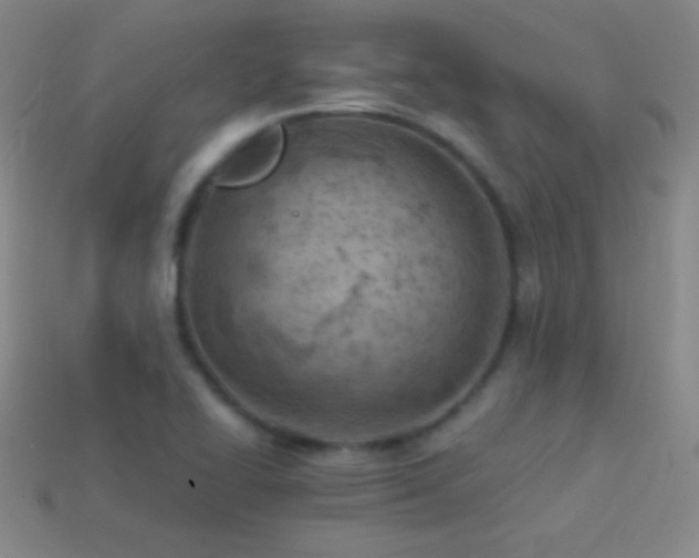 X0000114401414200910161305