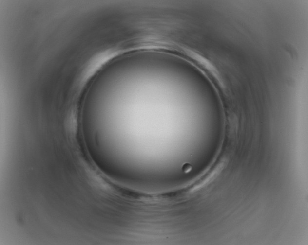 X0000114401415200910161305