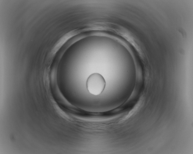 X0000114401417200910161305