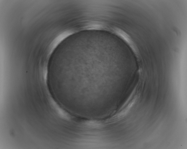 X0000114401418200910161305