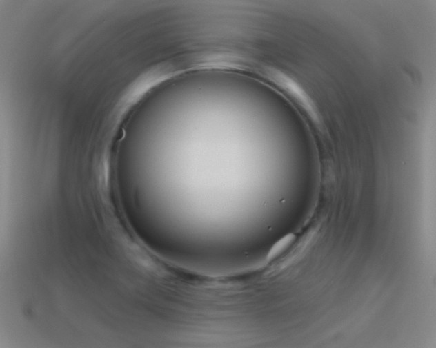 X0000114401419200910161305