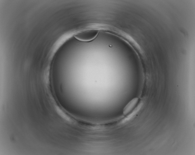 X0000114401421200910161305