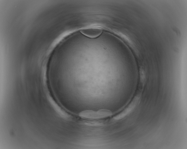 X0000114401422200910161305